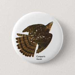 Cooper's Hawk av John James Audubon, Hawk Bird Knapp