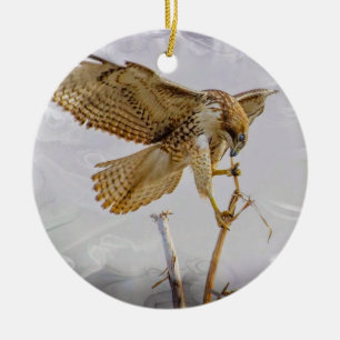 Coopers Hawk Julgransprydnad Keramik