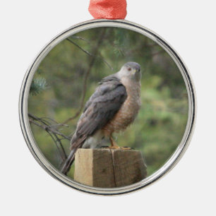 Cooper's Hawk Julgransprydnad Metall