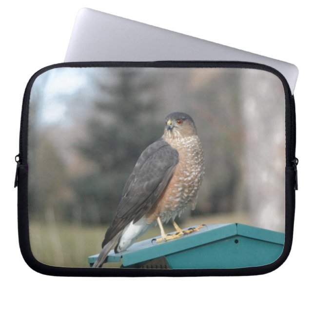 Coopers Hawk Laptop Sleeve (Framsidan)