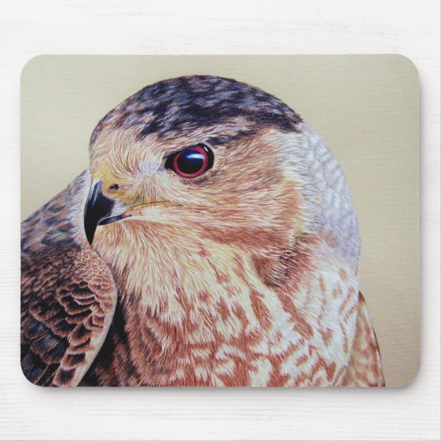 Coopers Hawk Musmatta (Framsidan)