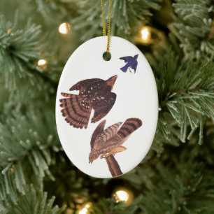 Cooper's Hawk Oval jul Ornament