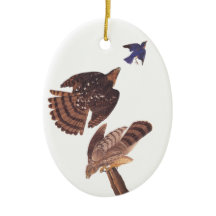 Cooper's Hawk Oval jul Ornament