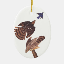 Cooper's Hawk Oval jul Ornament