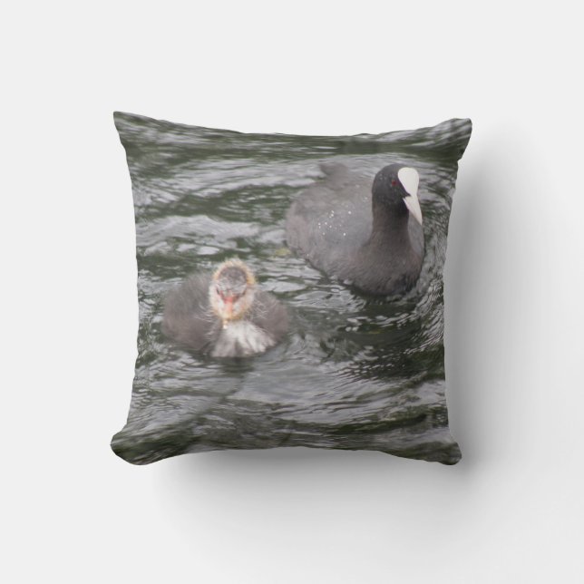 Coot and Chick Pillow Kudde (Framsida)