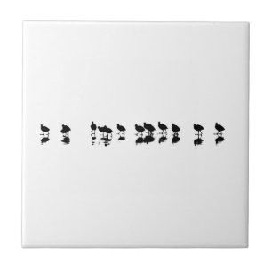 Coot Design - Svartvitt Kakelplatta