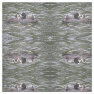 Coot Matande Hungrig Chick Patterned Animal Fabric Tyg