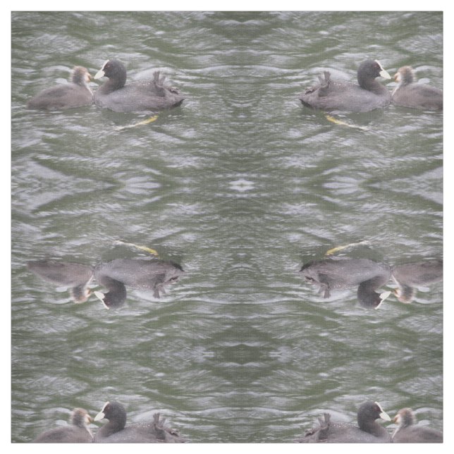Coot Matande Hungrig Chick Patterned Animal Fabric Tyg (Provkarta)