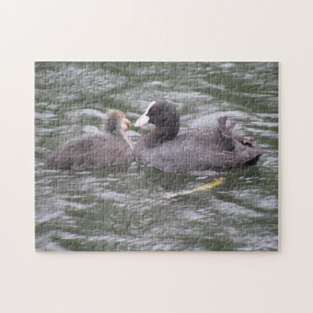 Coot Matar Puzzle för Hungrig Chick Pussel (Horisontell)