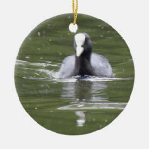Coot Swimming Anpassningsbar Birthday Julgransprydnad Keramik