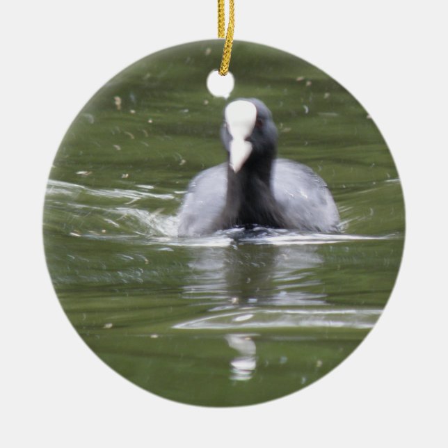 Coot Swimming Anpassningsbar Birthday Julgransprydnad Keramik (Framsidan)