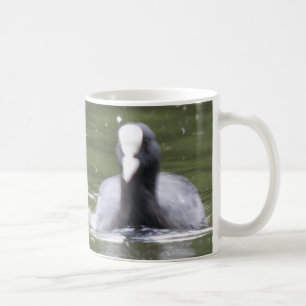 Coot Swimming Mugg