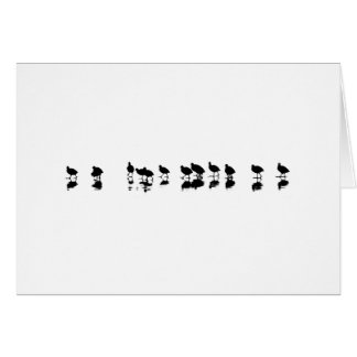 Cootdesign - svart på vit hälsningskort