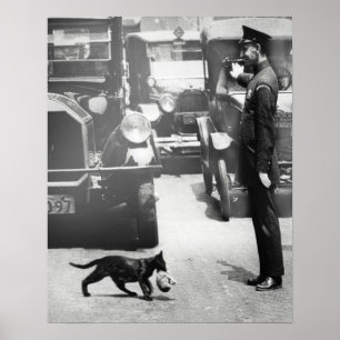 Cop Stops Traffic for Mamma Cat Poster