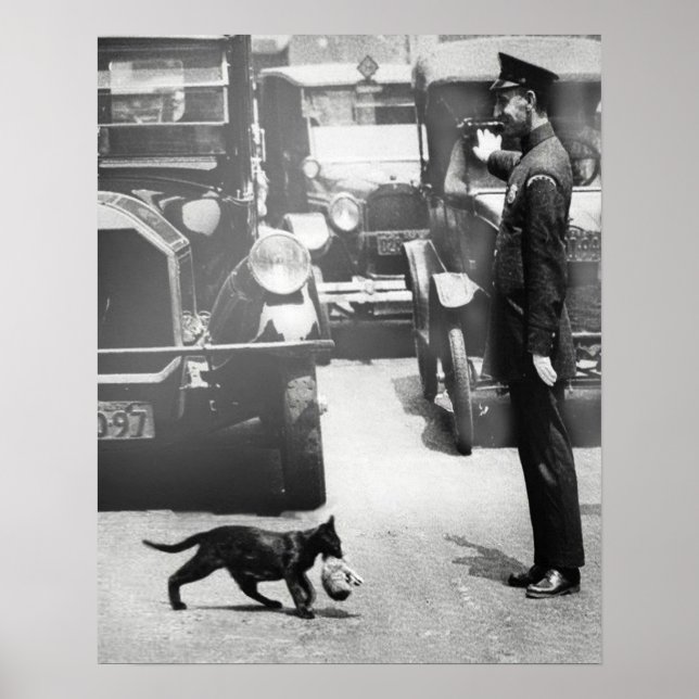 Cop Stops Traffic for Mamma Cat Poster (Framsidan)