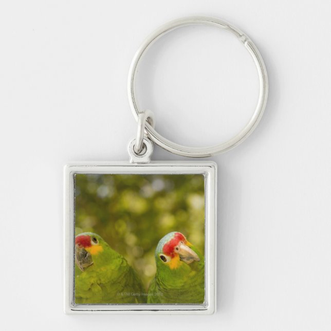 Copan Honduras Fyrkantig Silverfärgad Nyckelring (Framsidan)