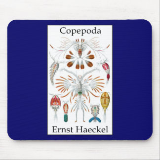 Copepoda av Ernst Haeckel Musmatta