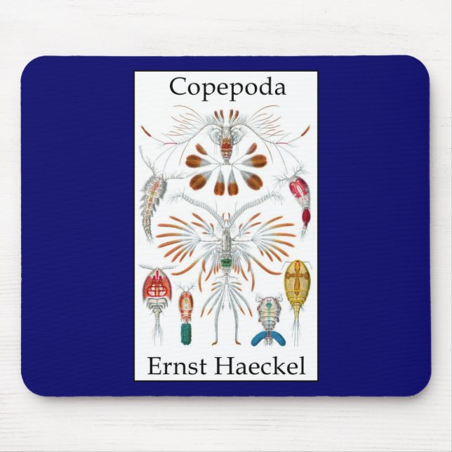 Copepoda av Ernst Haeckel Musmatta (Framsidan)