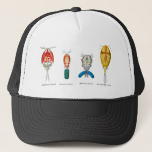 Copepods Truckerkeps