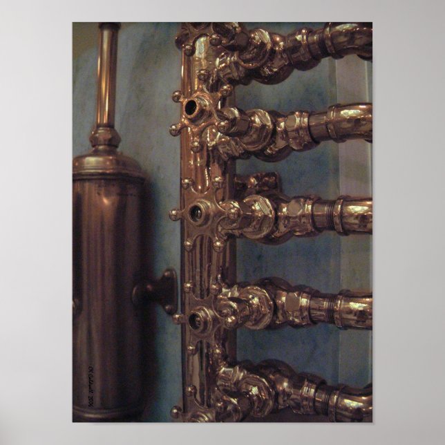 Copper Beauties Poster (Framsidan)