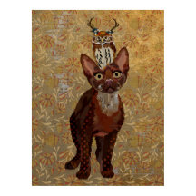 COPPER CAT & ANTLER UGGLA