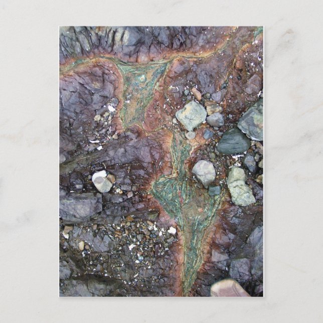 Copper Nya Zeeland Vykort (Framsida)