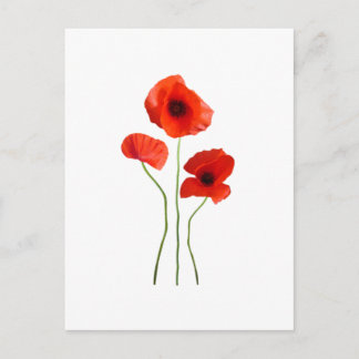 coquelicot -poppy vykort
