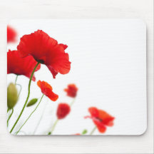 Coquelicots au printemps
