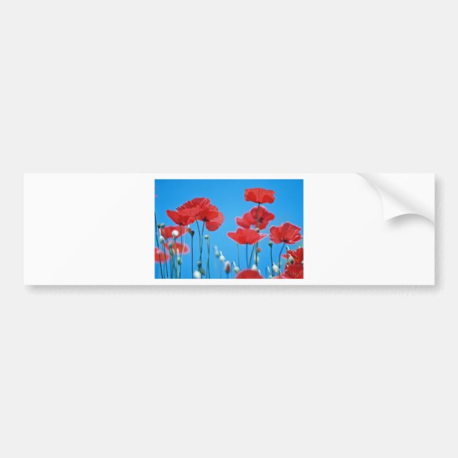 Coquelicots de Provence Bildekal (Framsidan)