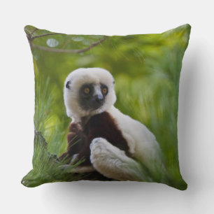 Coquerels Sifaka i skogen 2 Kudde