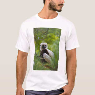 Coquerels Sifaka i skogen 2 Tee Shirt