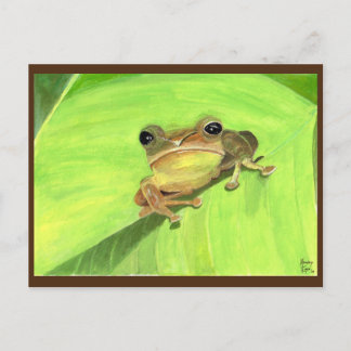 Coqui de Puerto Rico Postcard Vykort