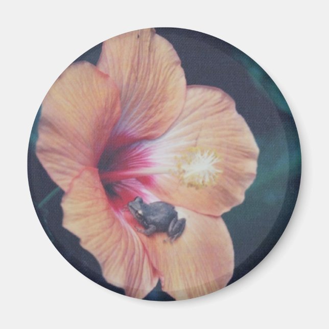 COQUI MAGNET (Framsidan)