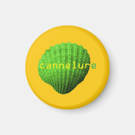 coquillage cannelure magnet