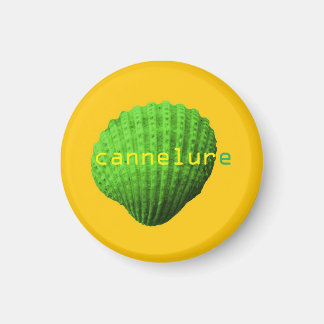 coquillage cannelure magnet