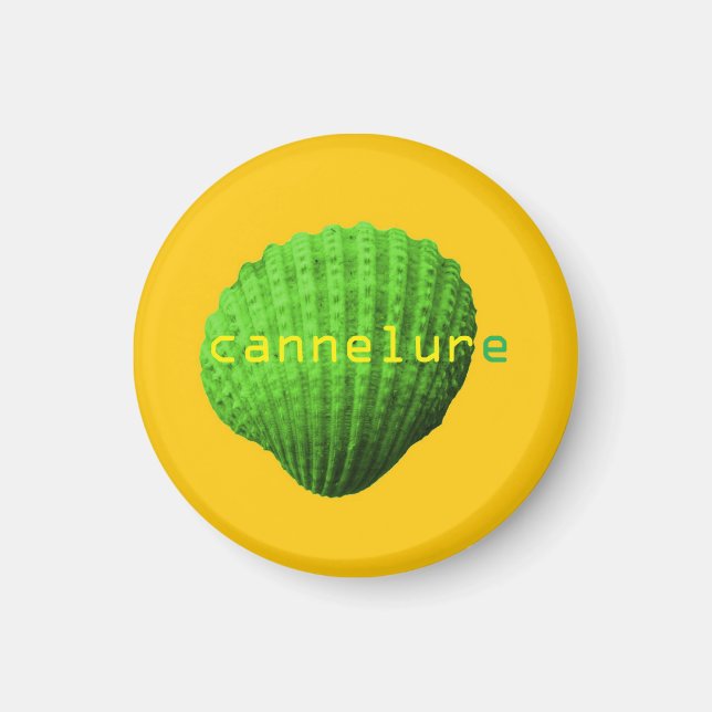 coquillage cannelure magnet (Framsidan)