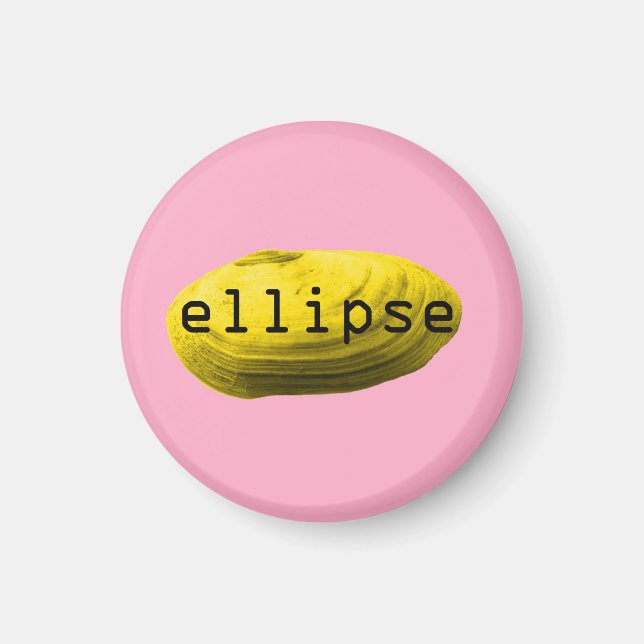 Coquillage. Ellipse Magnet (Framsidan)