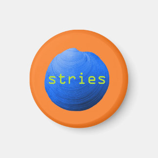 Coquillage. Stries Magnet