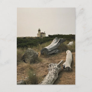 Coquille River Lighthouse, ELLER Vykort