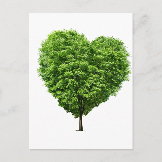 coração ecologico vykort (Framsida)