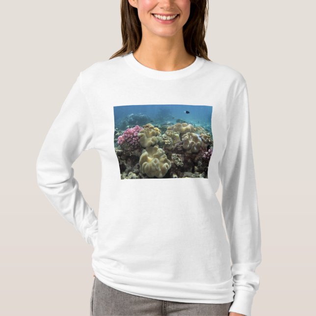Coral, Agincourt Reef, Underbar Barrier Reef T-shirt (Framsida)