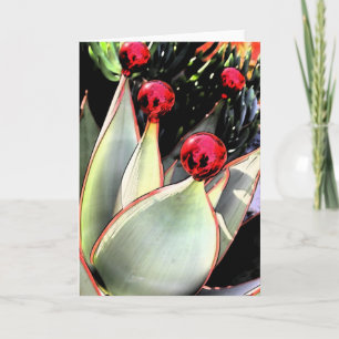 Coral aloe Jul Helgkort