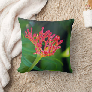 Coral Bush i bloom Kudde