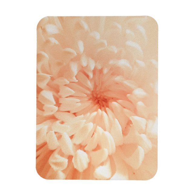 Coral Chrysanthemum Magnet (Vertikal)