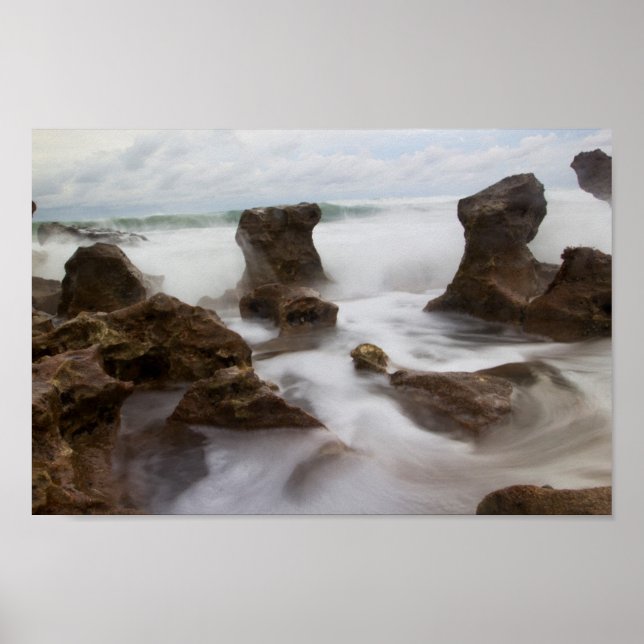 Coral Cove Park Beach, Florida Poster (Framsidan)