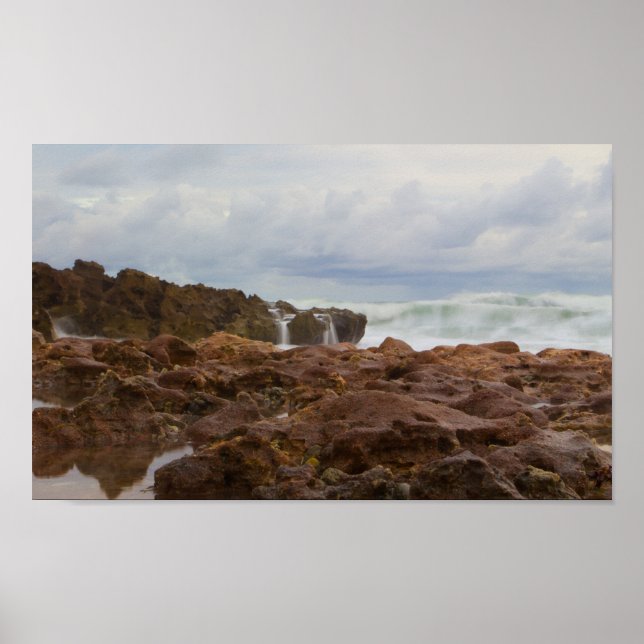 Coral Cove Park Beach, Florida Poster (Framsidan)
