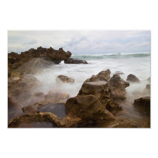Coral Cove Park-stranden, Florida Fototryck (Framsidan)