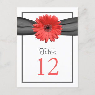 Coral Daisy Grått Grått Ribbon Bordsnummer Card