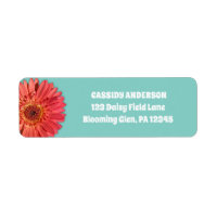 Coral Färgad Gerbera Daisy Photo Mint Grönt