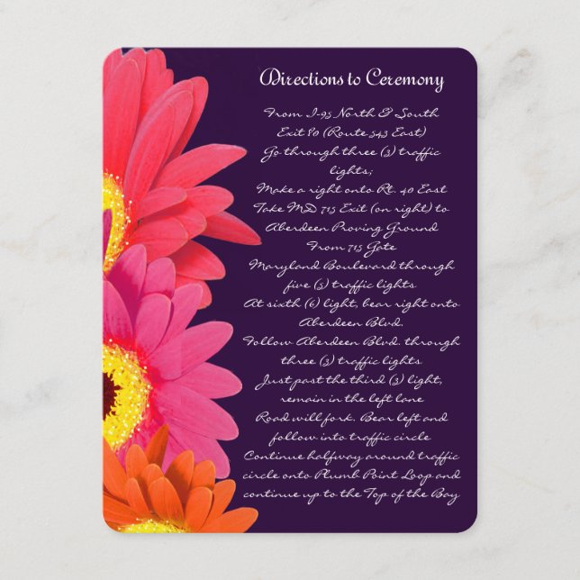Coral Fuchsia Eggplant Gerber Daisy Direction Card Tilläggskort (Framsida)